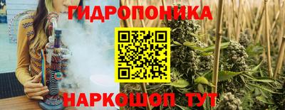 шишки Сланцы