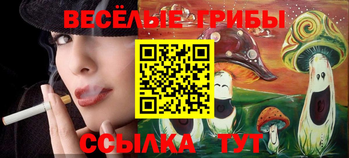 Псилоцибиновые грибы Magic Shrooms Павлово